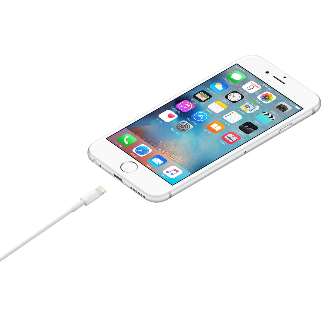 Apple Lightning auf USB Kabel (0,5 m)