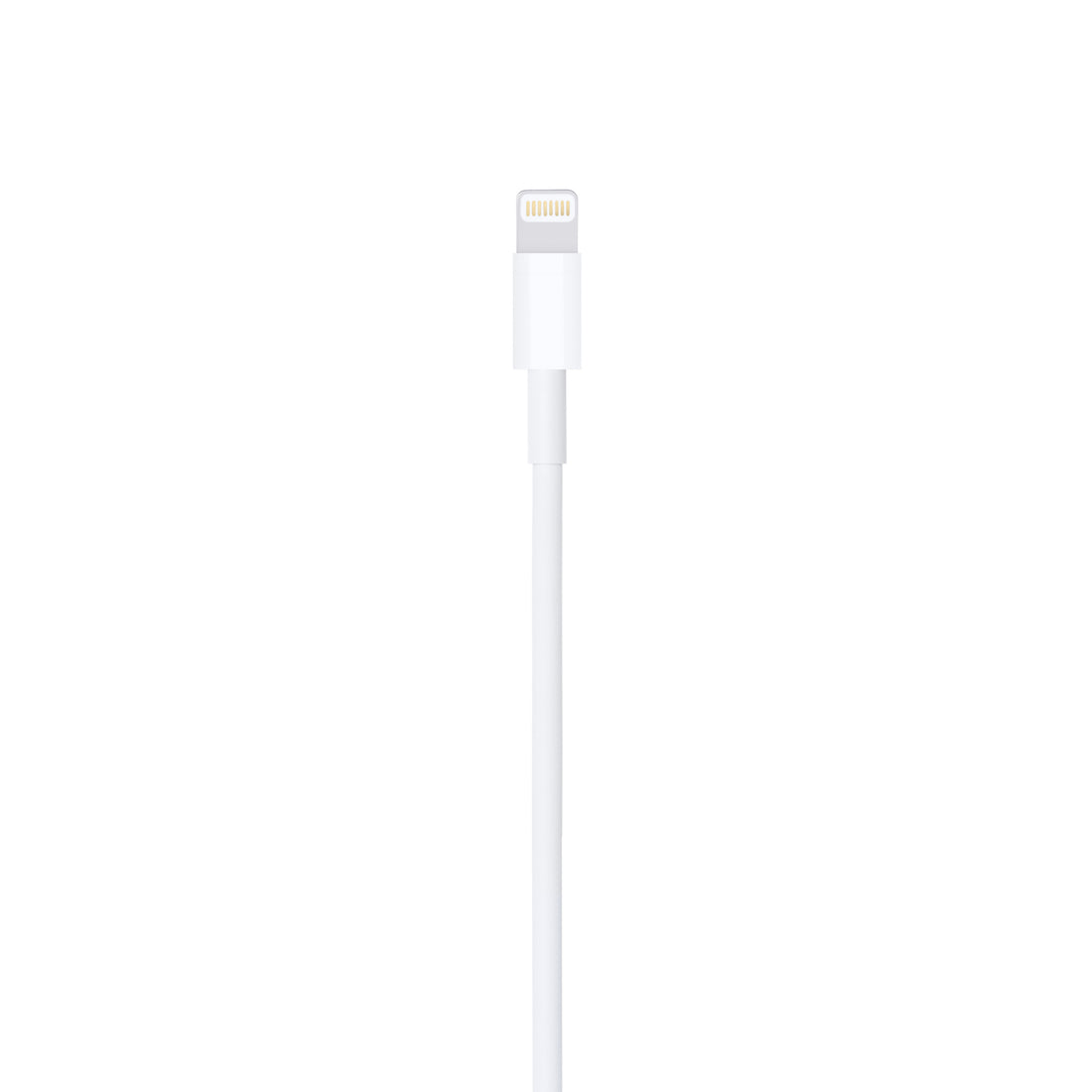 Apple Lightning auf USB Kabel (0,5 m)