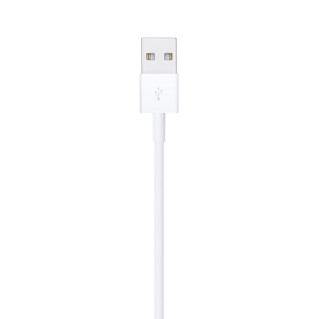 Apple Lightning auf USB Kabel (0,5 m)