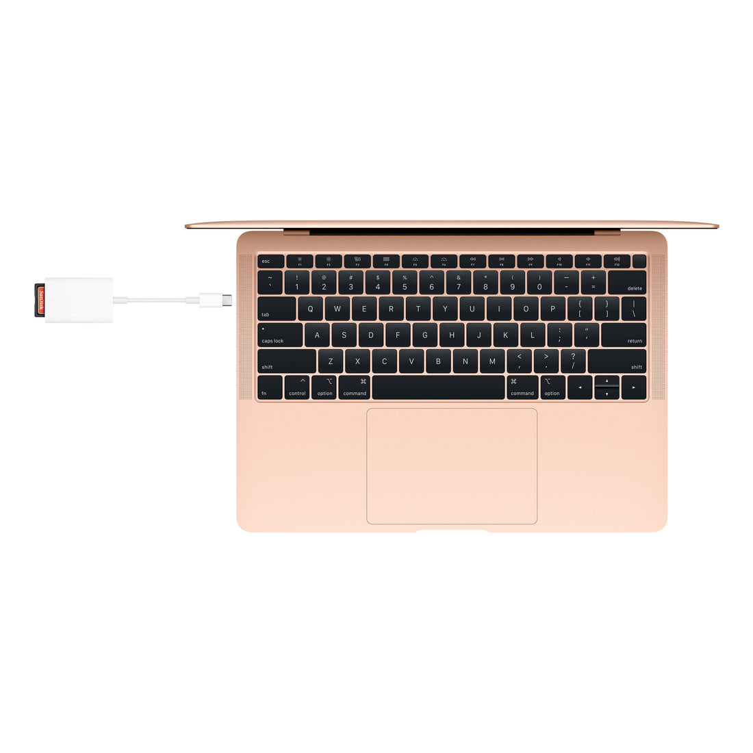 Apple USB‑C auf SD Kartenlesegerät