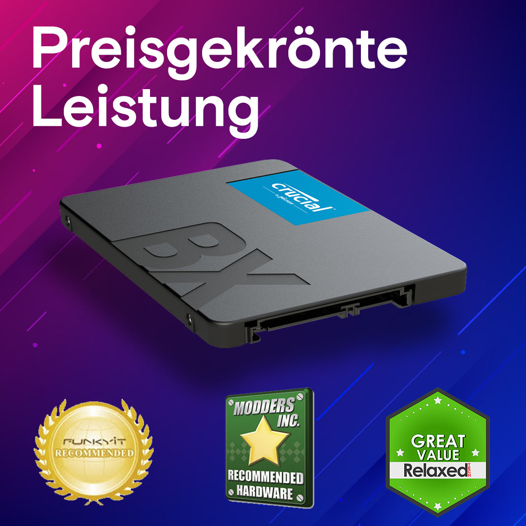 Crucial Interne SSD (BX500)