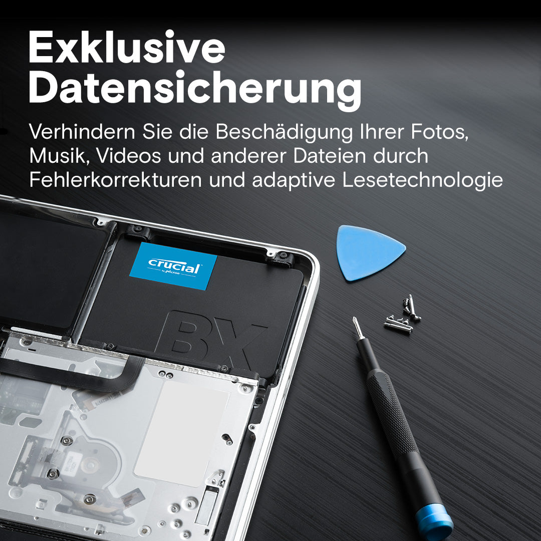 Crucial Interne SSD (BX500)